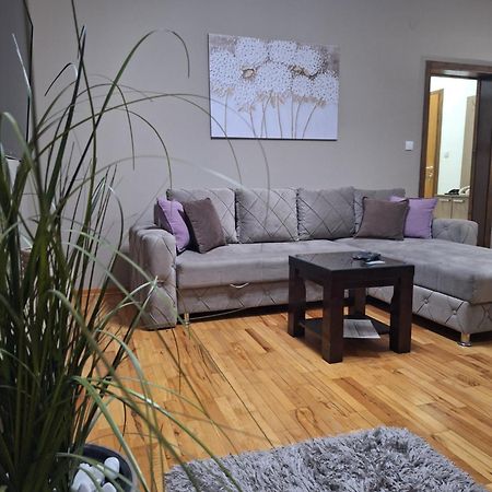 Apartmani Radulovic Vrnjacka Banja Room photo
