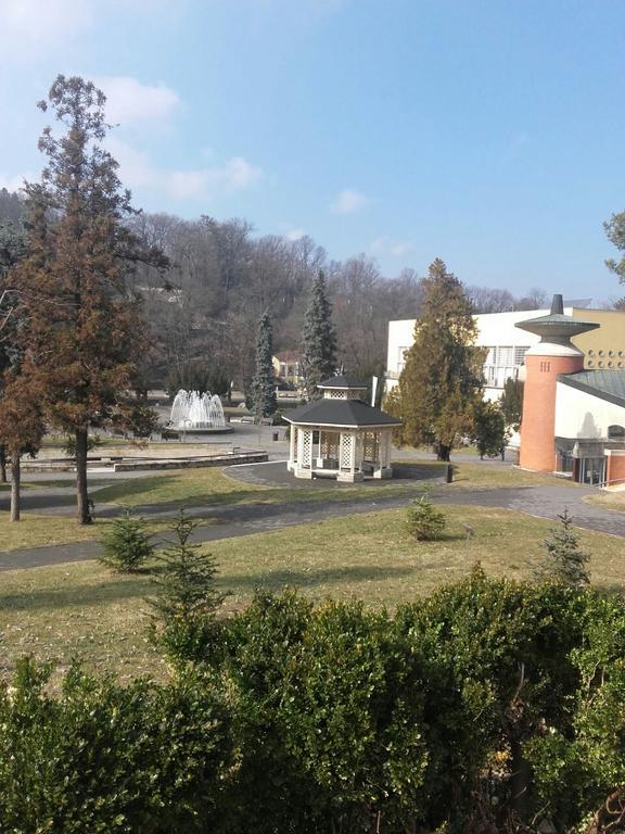 Apartmani Radulovic Vrnjacka Banja Exterior photo