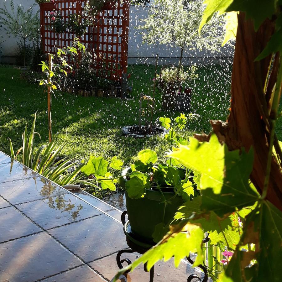 Apartmani Radulovic Vrnjacka Banja Exterior photo